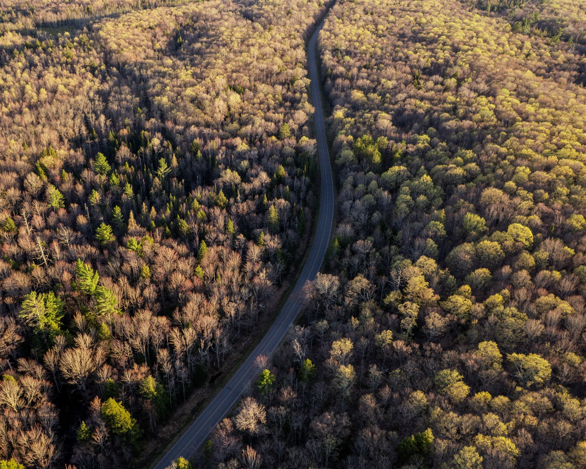 Lot 4 Federal Forest Highway 16 Property Photo 3