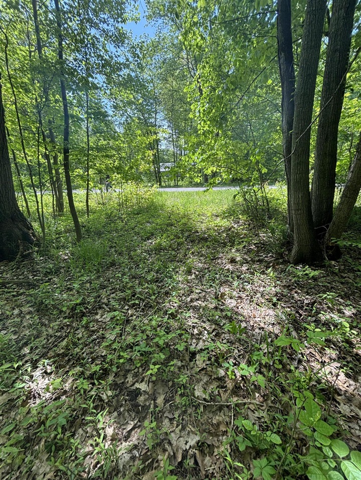 Wildwood Road Property Photo 8
