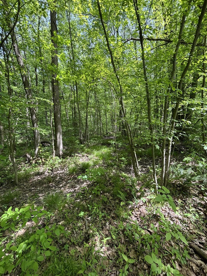 Wildwood Road Property Photo 9