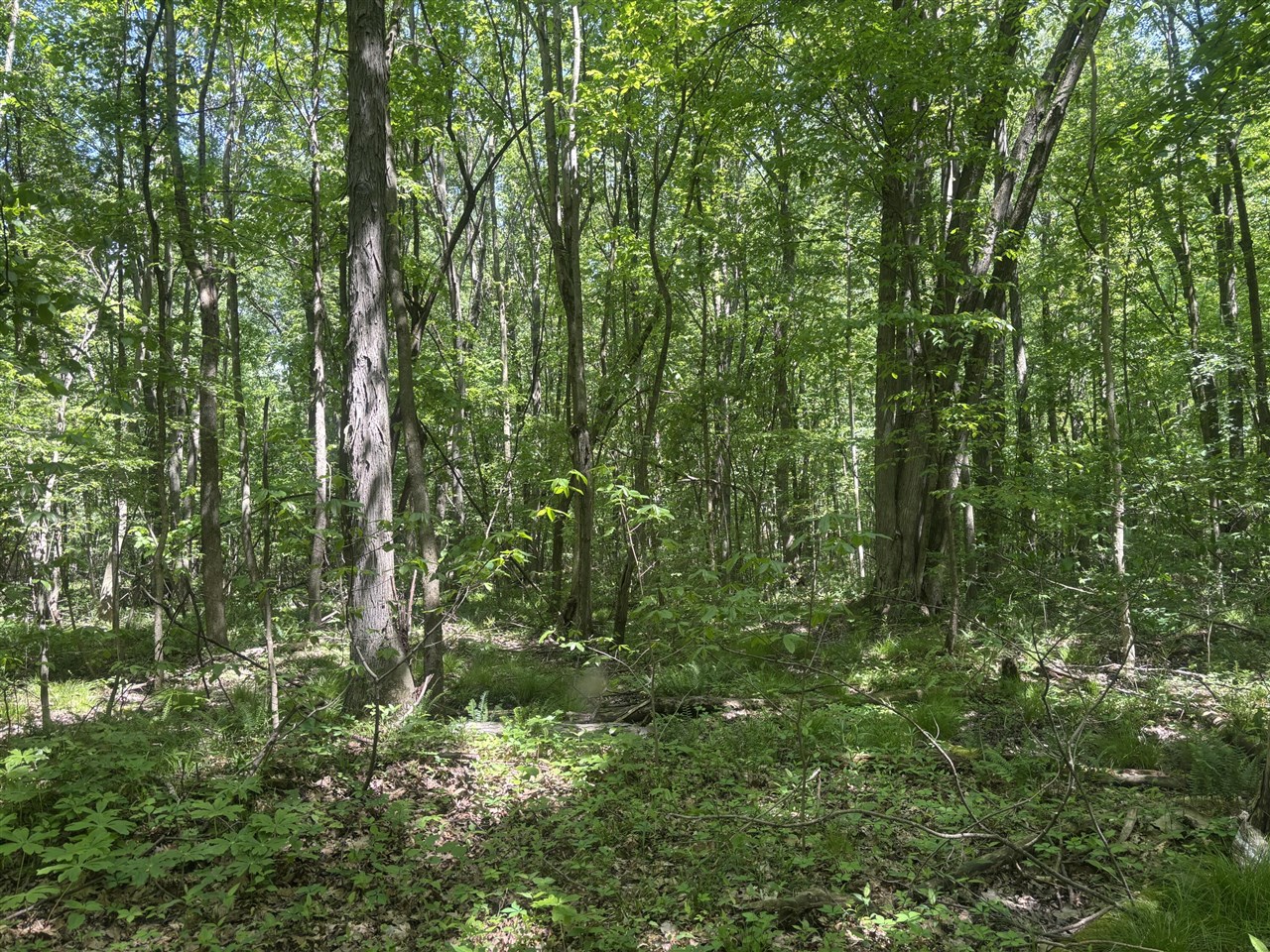 Wildwood Road Property Photo 12