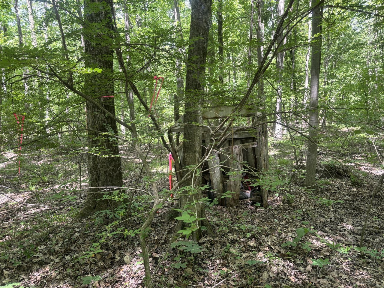 Wildwood Road Property Photo 16