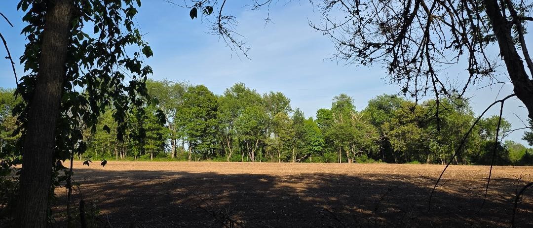N Drive Property Photo 10