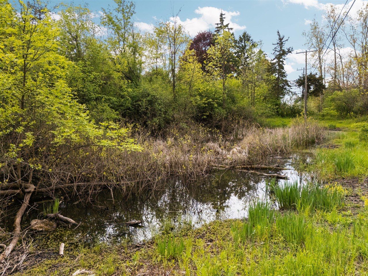 2203 Hickman Road Property Photo 11