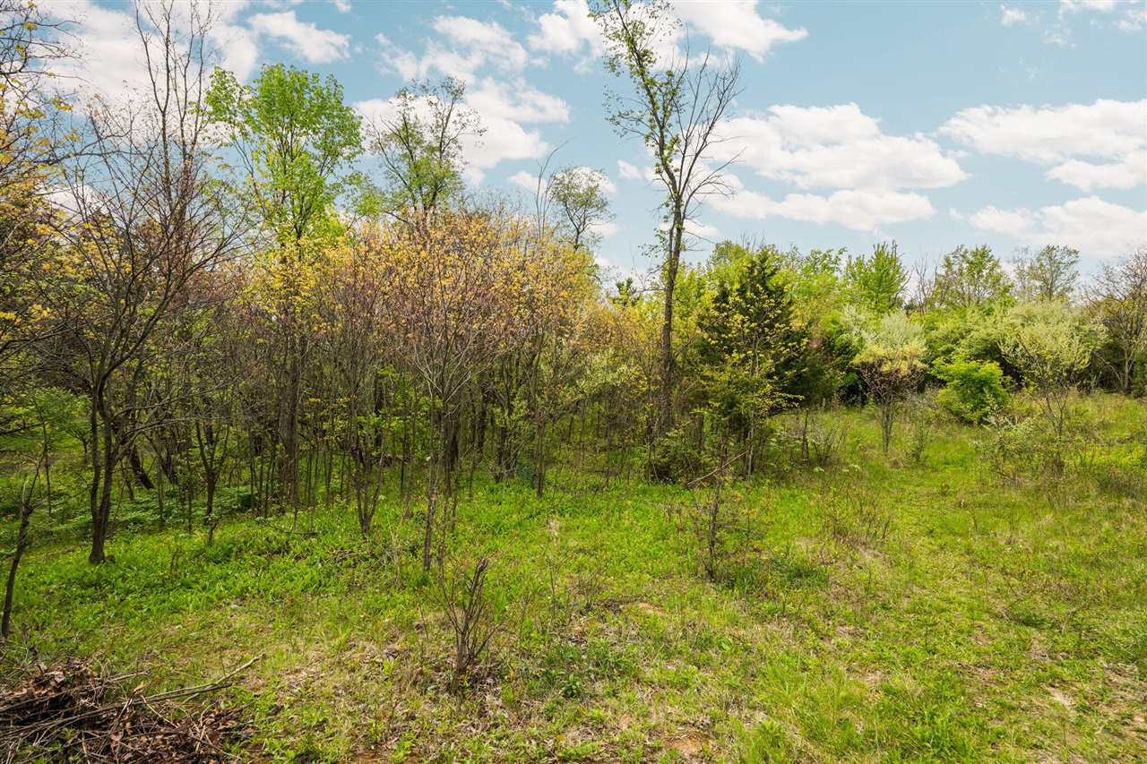 2203 Hickman Road Property Photo 12