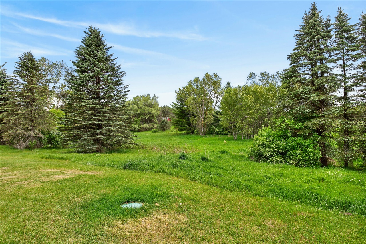 8332 5 Mile Road Property Photo 37