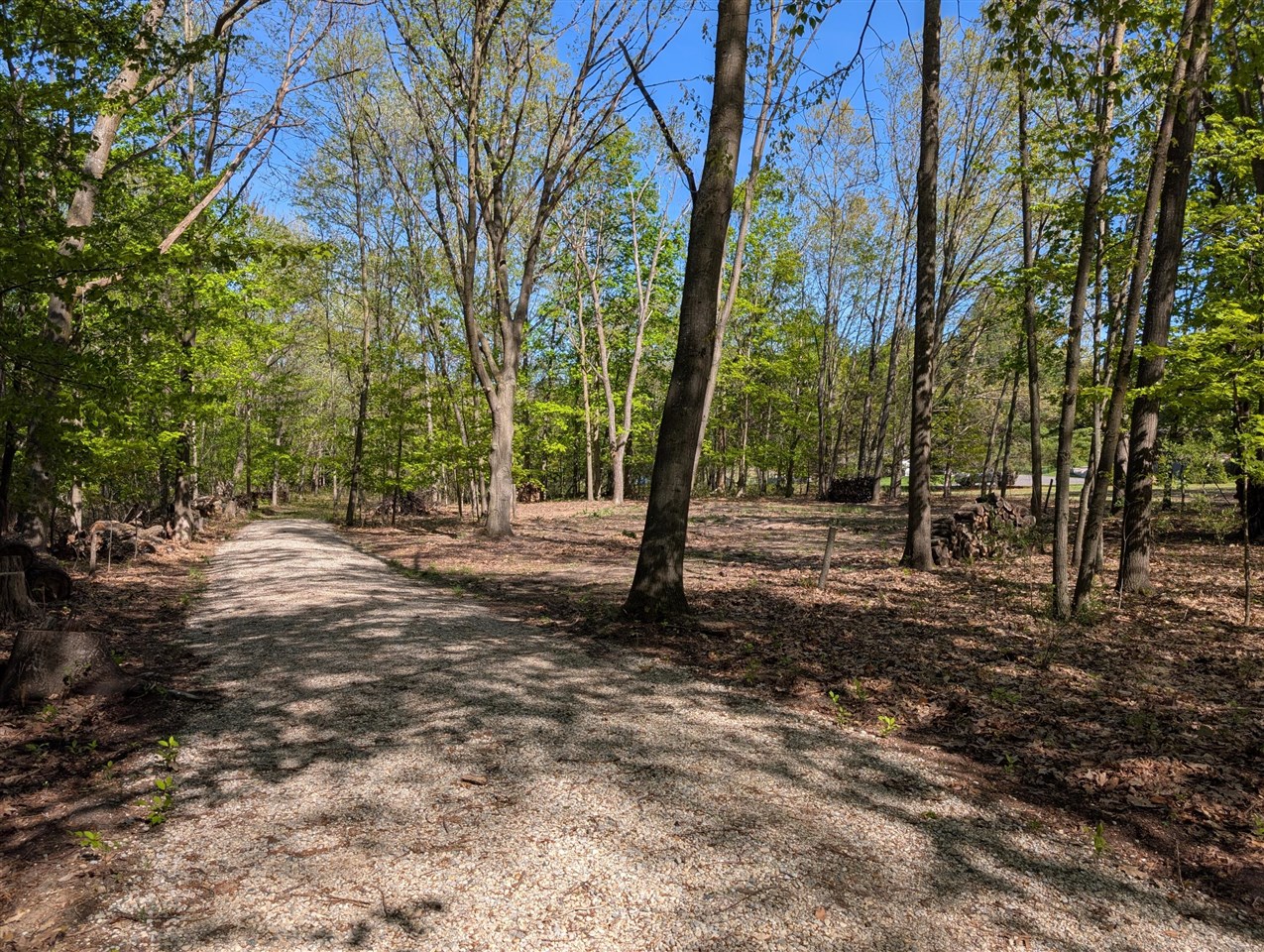 8933 S East Torch Lake Drive Property Photo 1
