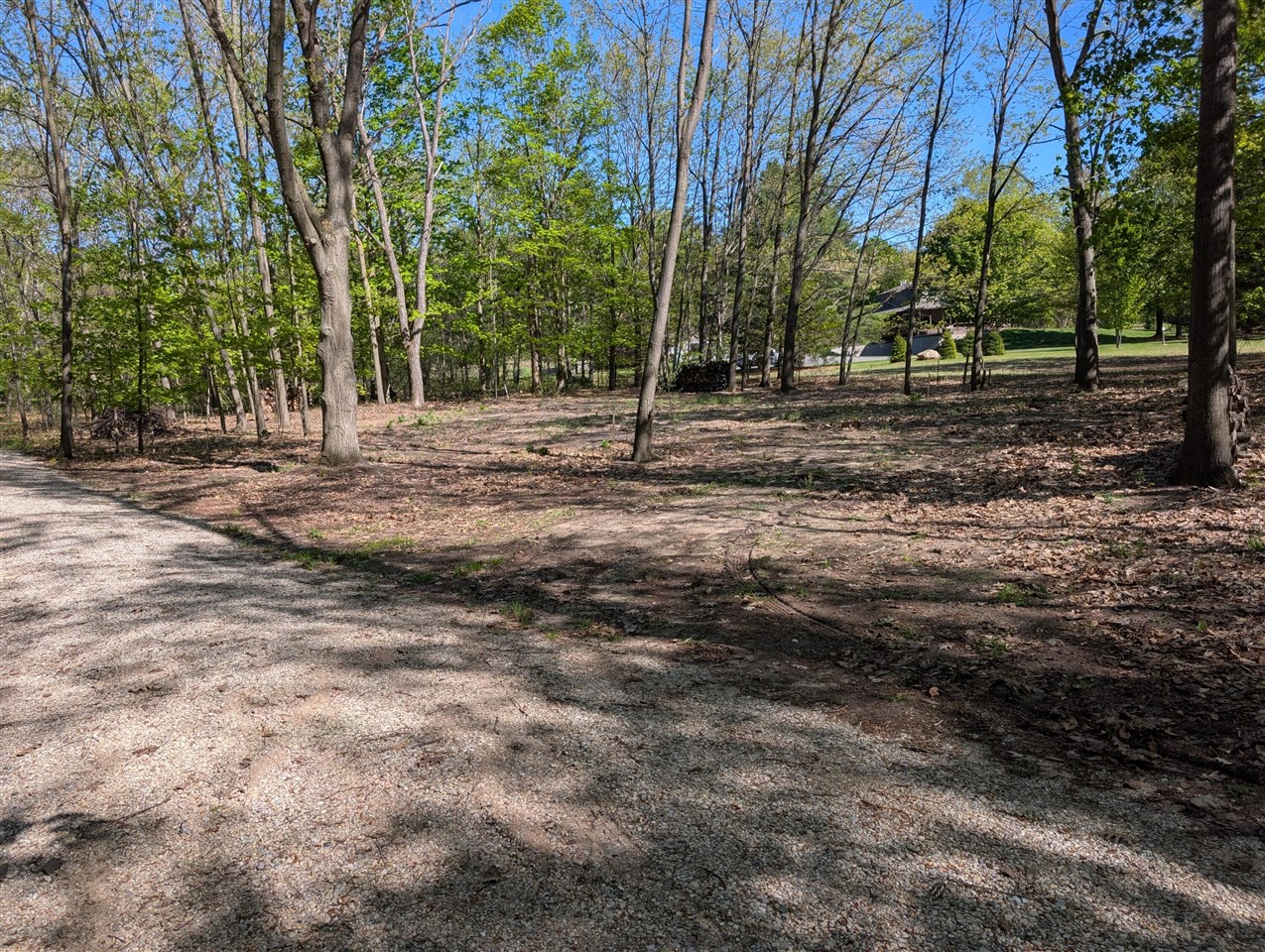 8933 S East Torch Lake Drive Property Photo 2