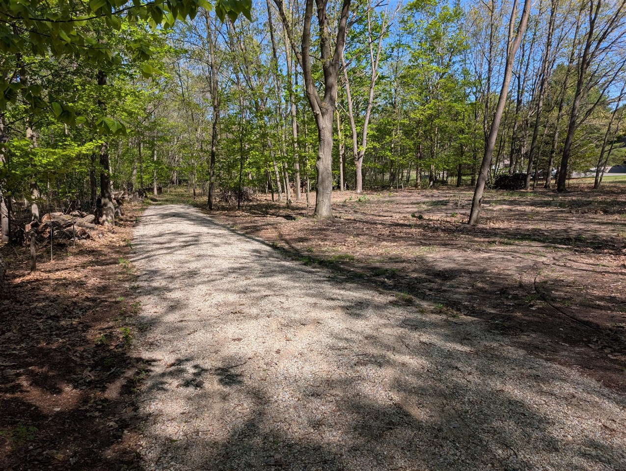 8933 S East Torch Lake Drive Property Photo 4