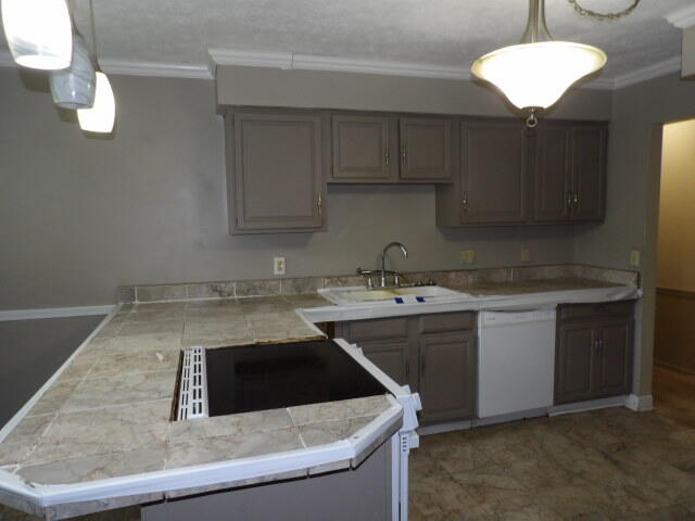 243 Devon Road Property Photo 4