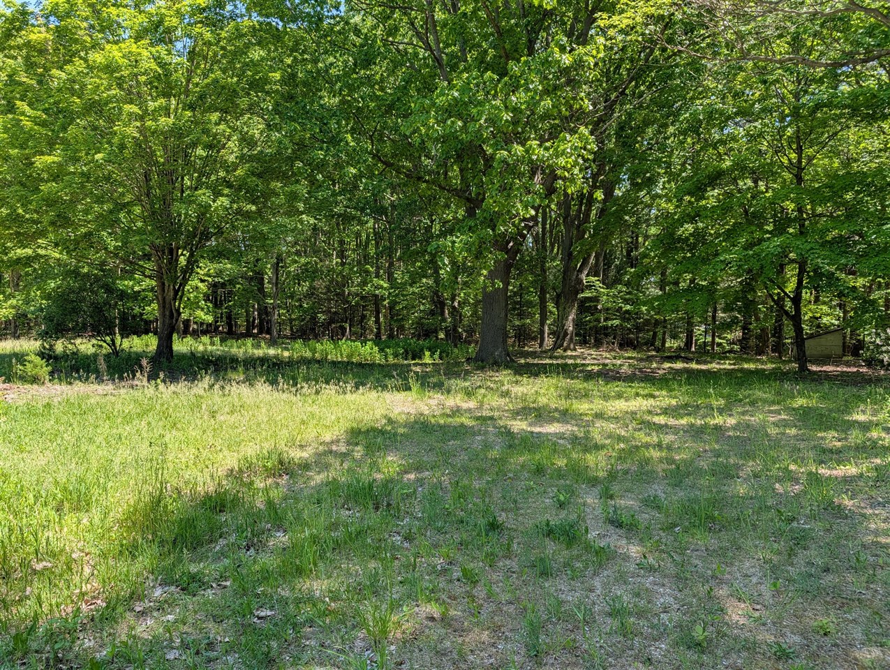 3503 65th Property Photo 1