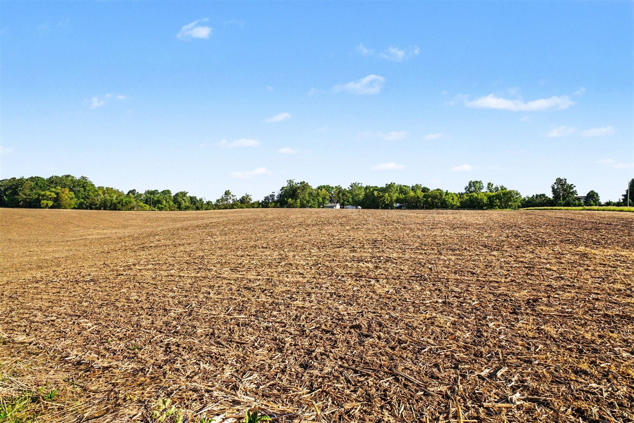 7854 Painter School Property Photo 30