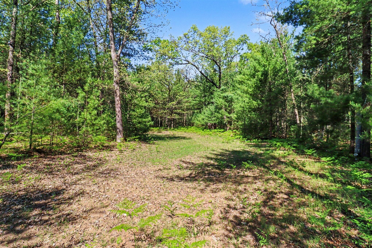 7766 E Bradshaw Property Photo 22