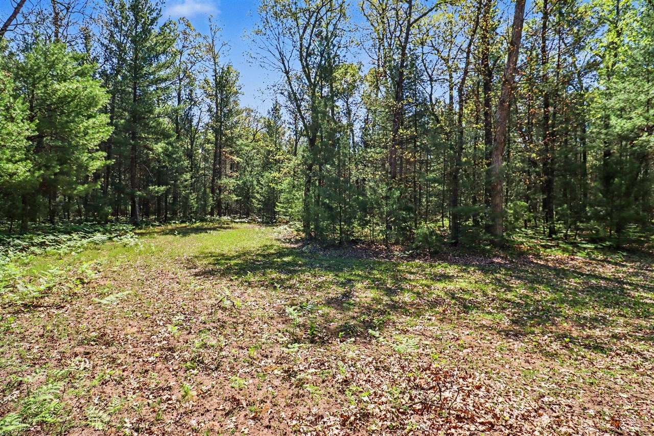 7766 E Bradshaw Property Photo 23