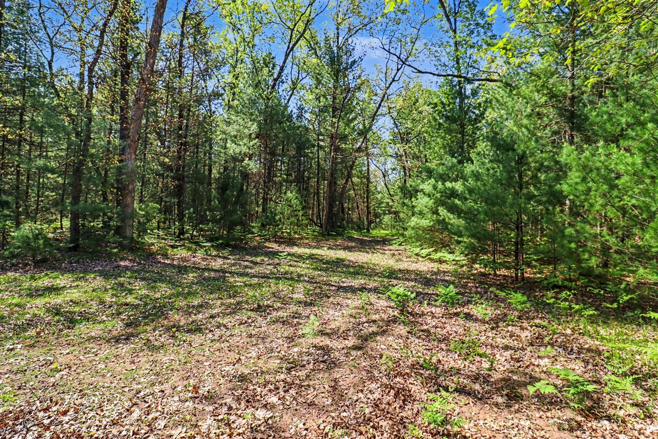 7766 E Bradshaw Property Photo 24
