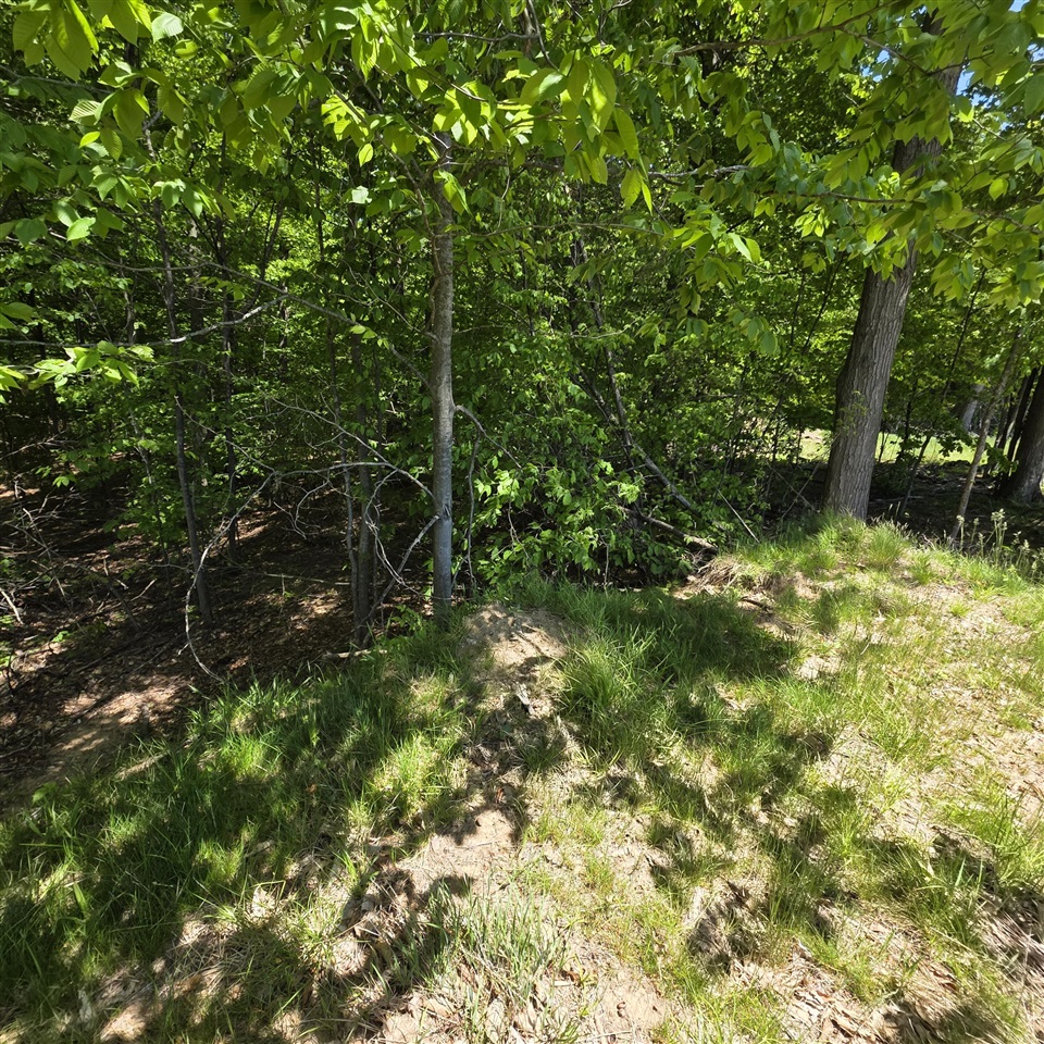 0 W Weaver Road Property Photo 9
