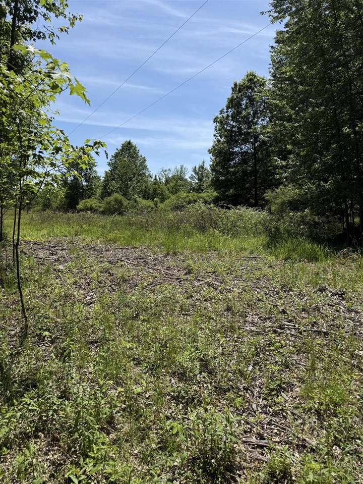 V/l 50th Street Property Photo 1