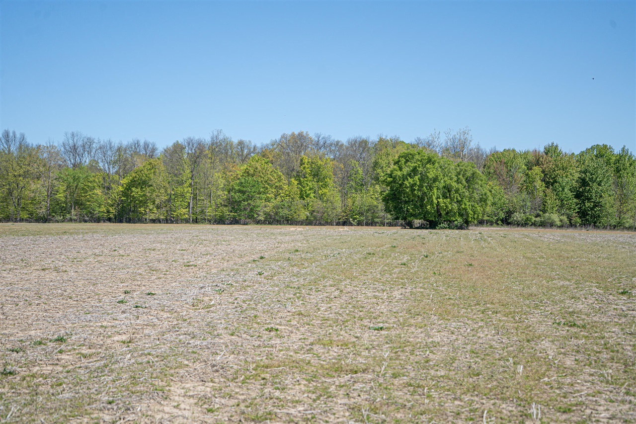 Parcel 1 8th Avenue Property Photo 16