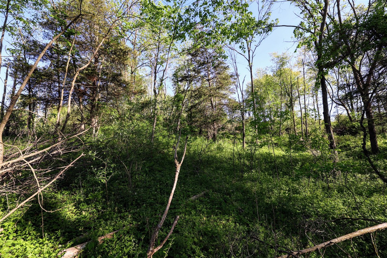 Onsted Highway Property Photo 2