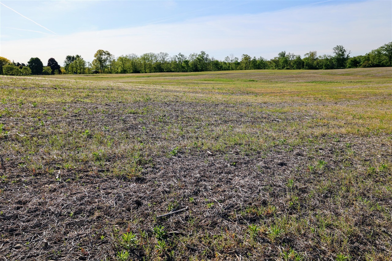Onsted Highway Property Photo 14