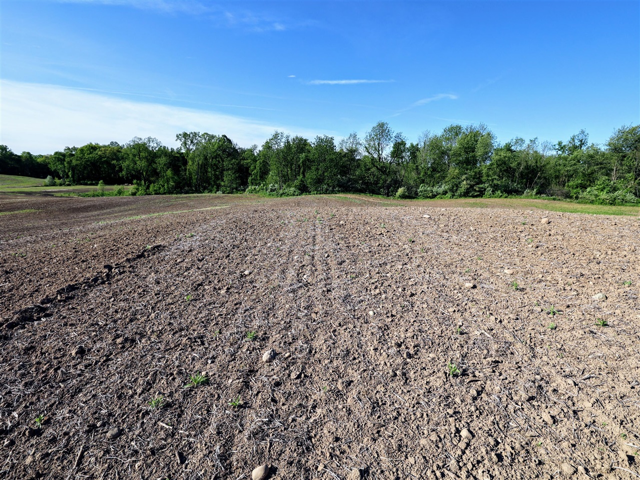 Onsted Highway Property Photo 15