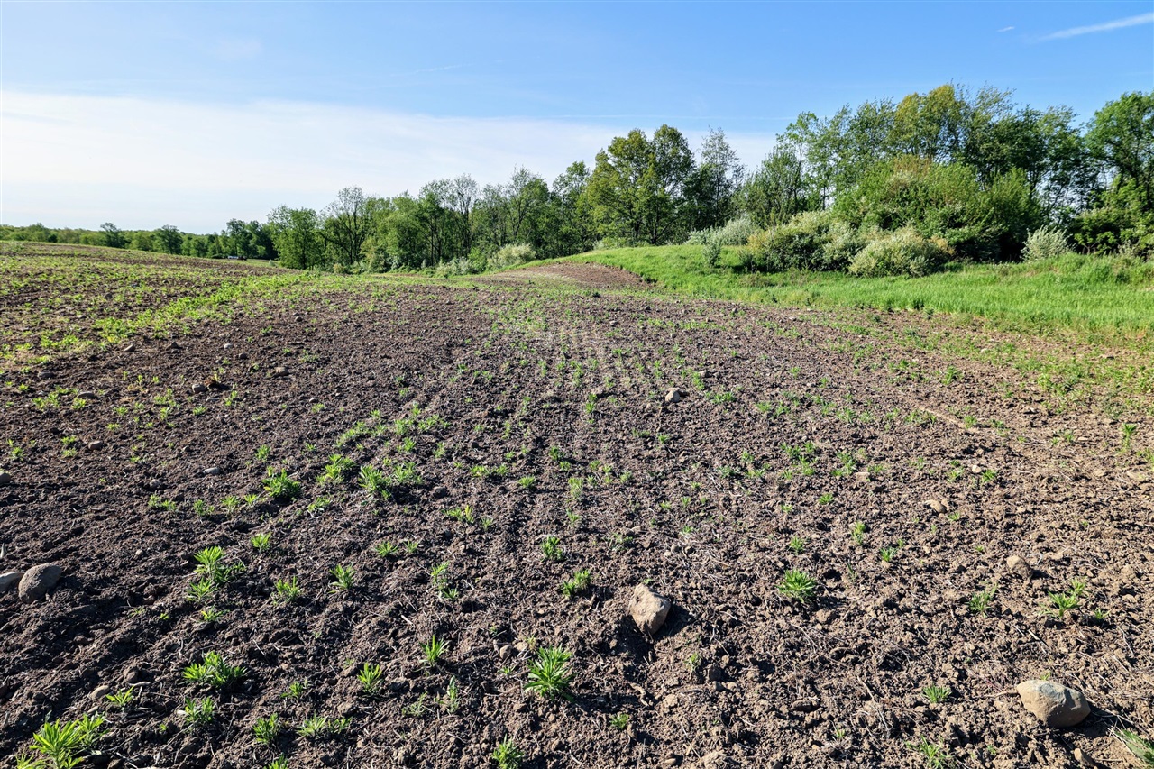 Onsted Highway Property Photo 16