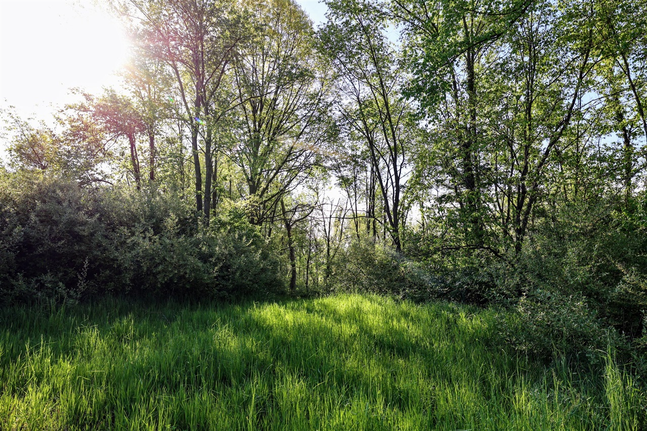 Onsted Highway Property Photo 17