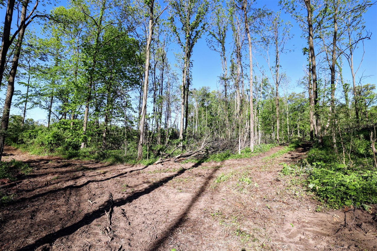 Onsted Highway Property Photo 18
