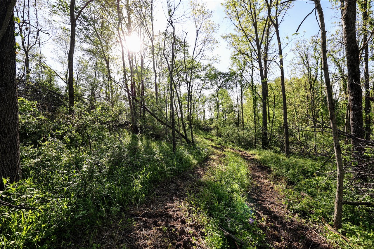 Onsted Highway Property Photo 19