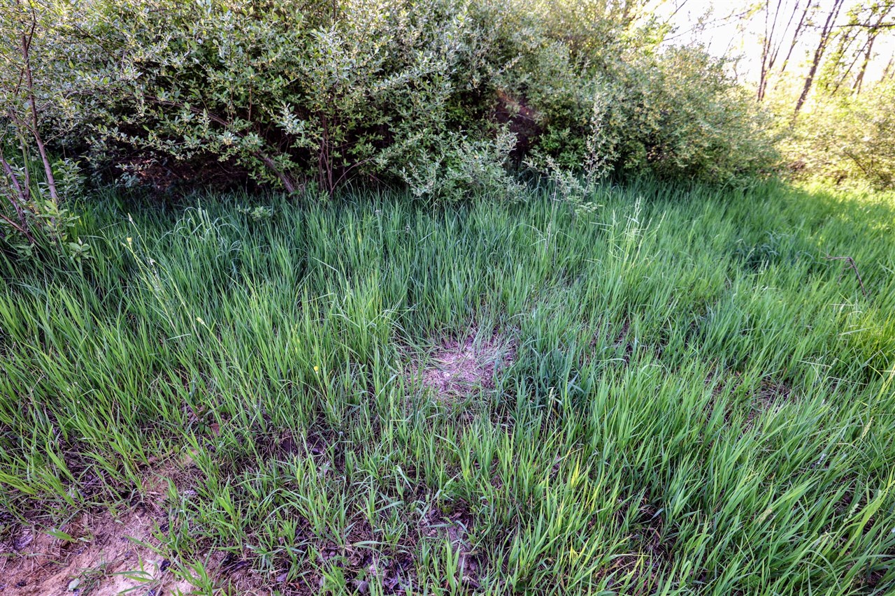 Onsted Highway Property Photo 22