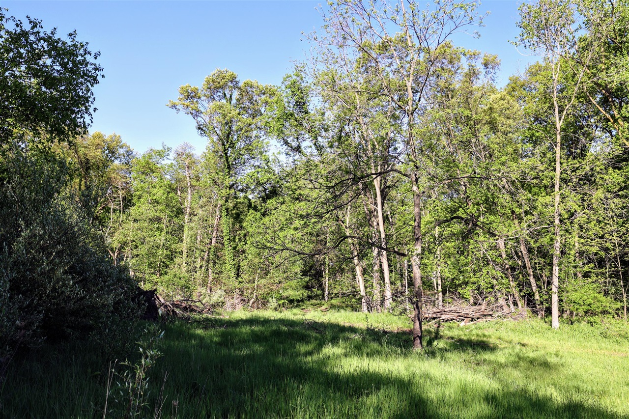 Onsted Highway Property Photo 23