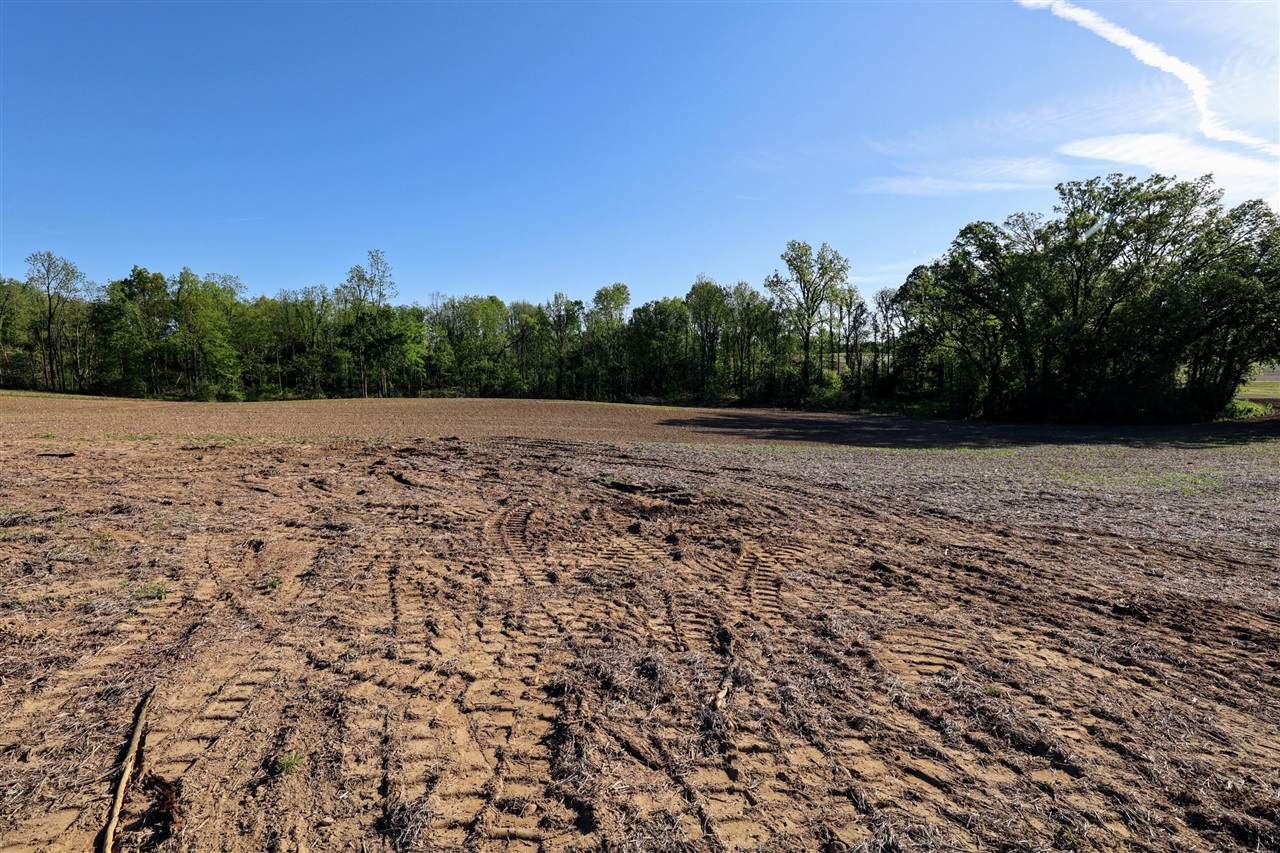 Onsted Highway Property Photo 26