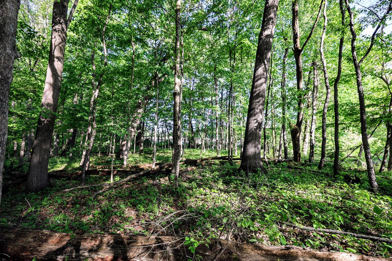 Onsted Highway Property Photo 27