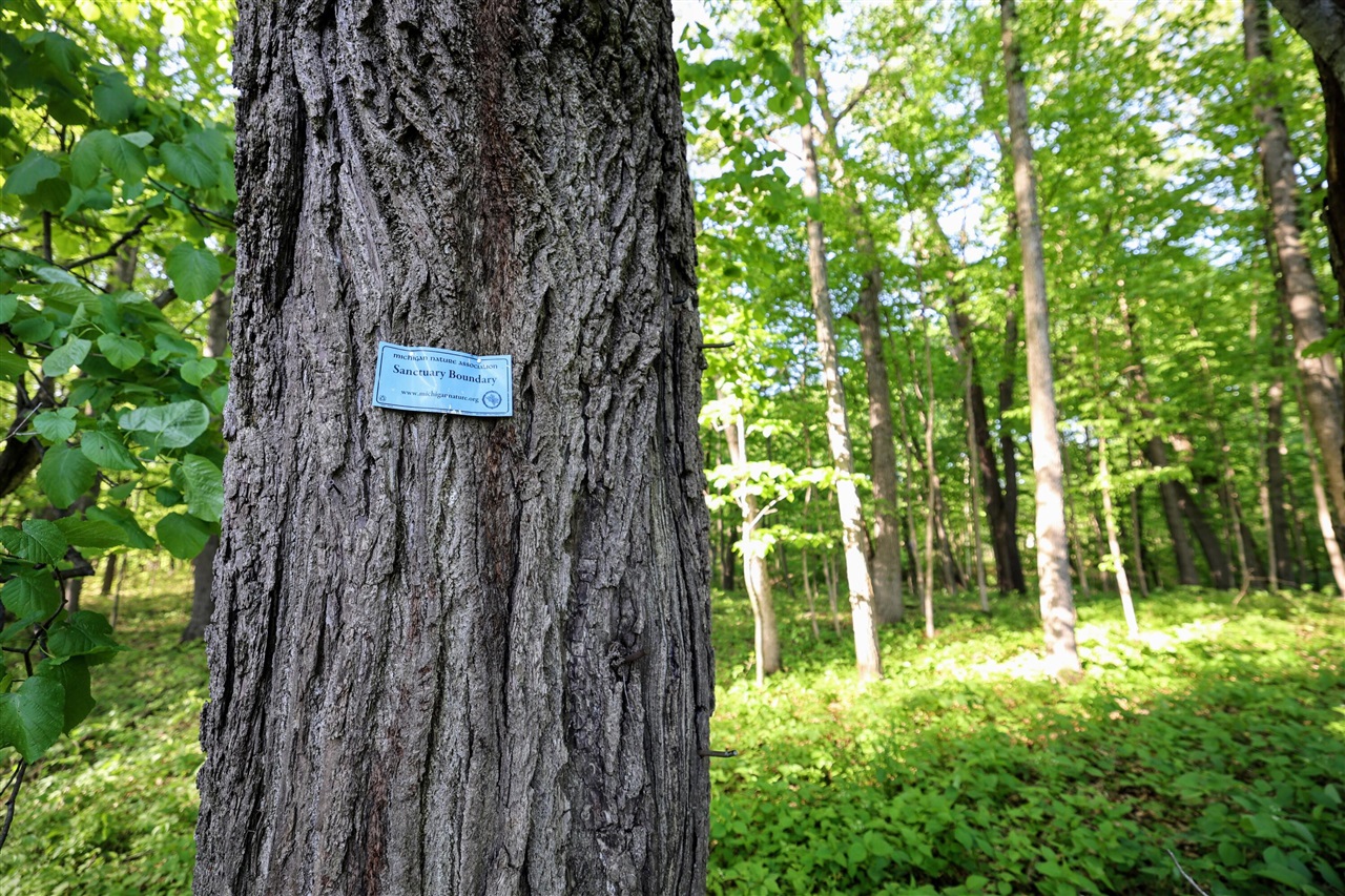 Onsted Highway Property Photo 28