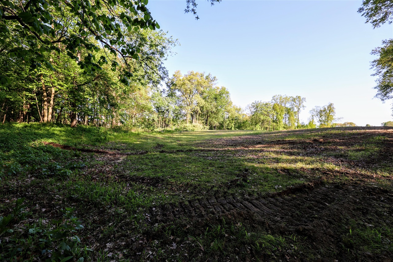 Onsted Highway Property Photo 29