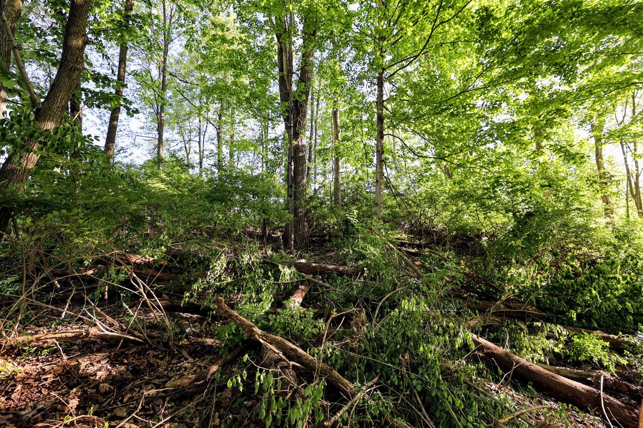 Onsted Highway Property Photo 31