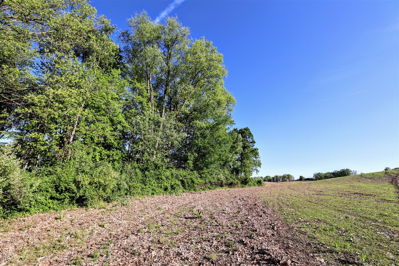 Onsted Highway Property Photo 33