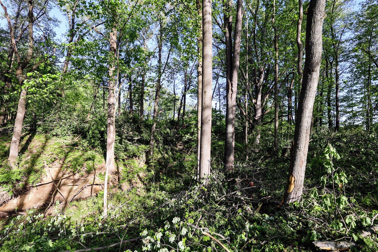 Onsted Highway Property Photo 34