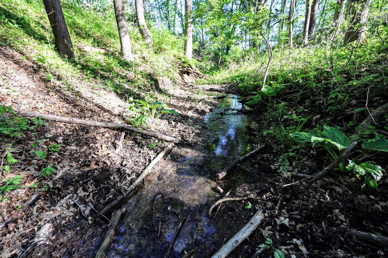 Onsted Highway Property Photo 35