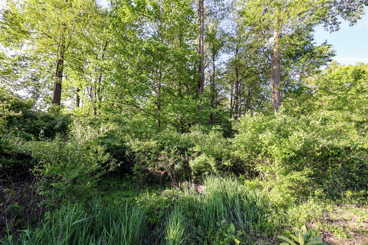Onsted Highway Property Photo 36
