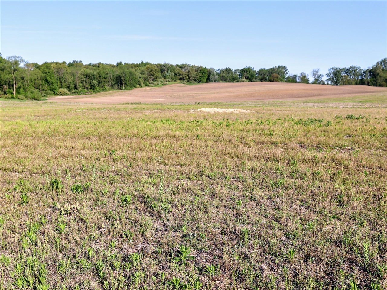 Onsted Highway Property Photo 39