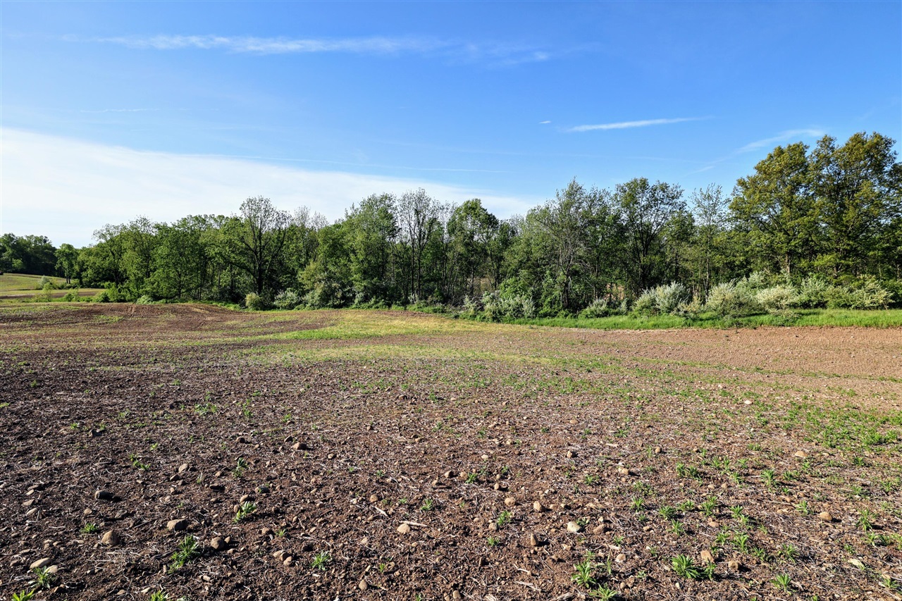 Onsted Highway Property Photo 43