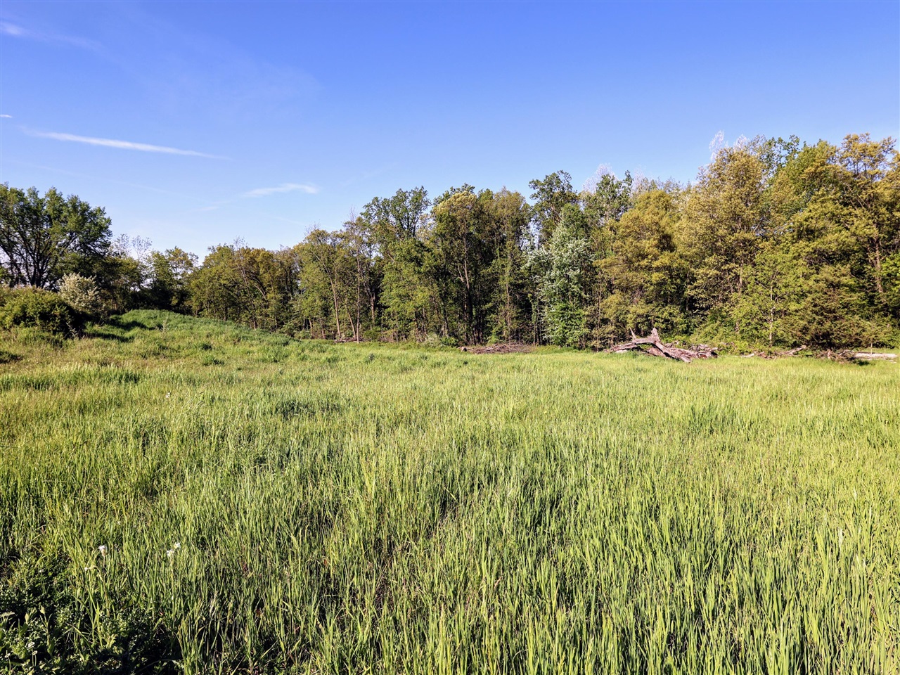 Onsted Highway Property Photo 46