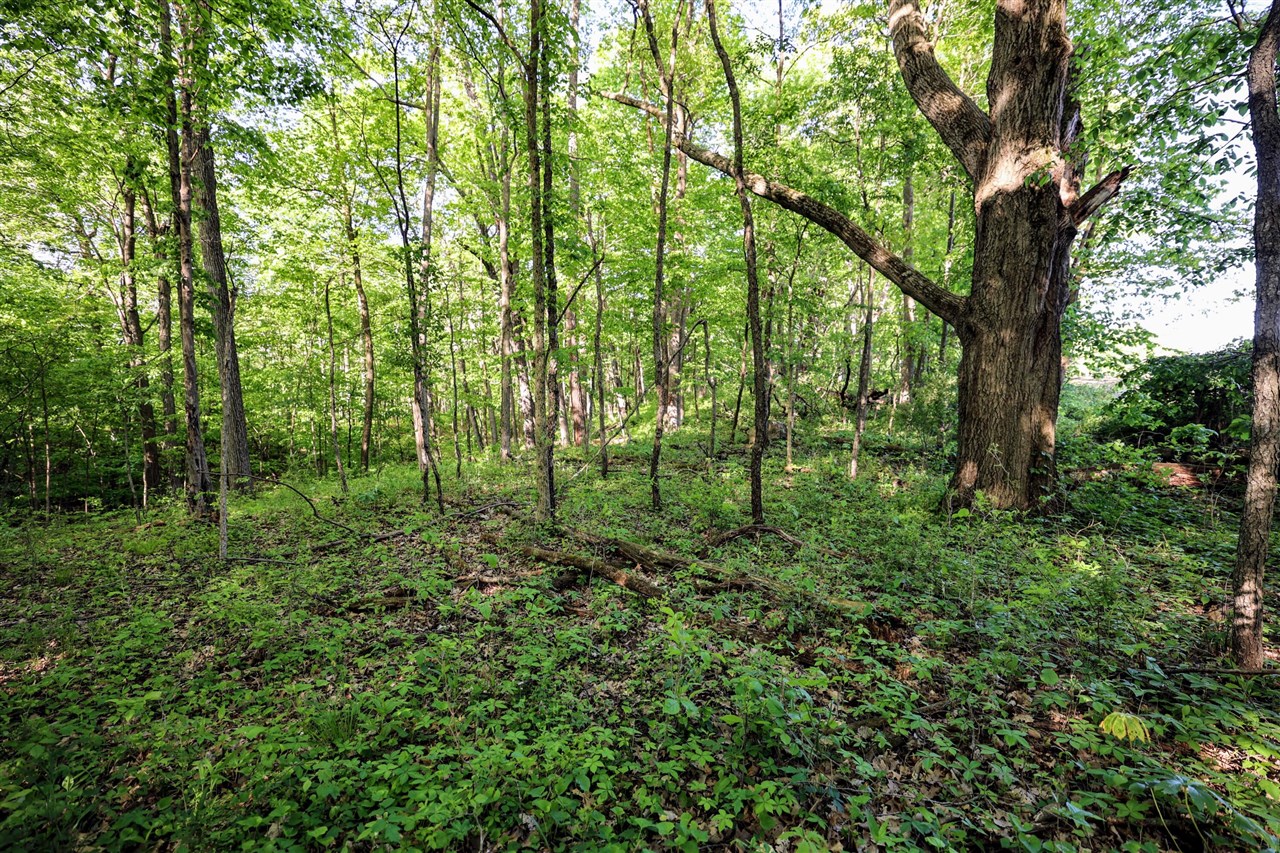 Onsted Highway Property Photo 47