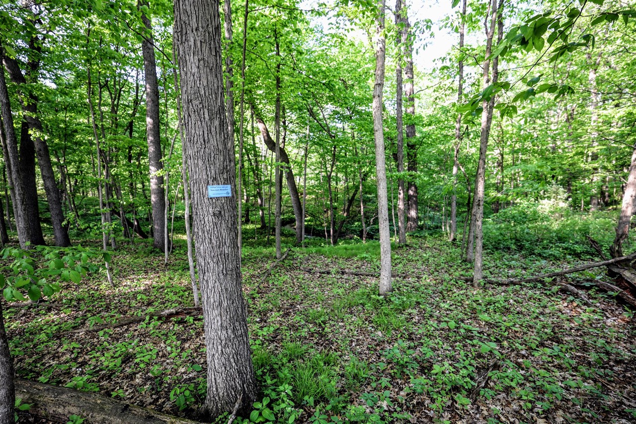 Onsted Highway Property Photo 48