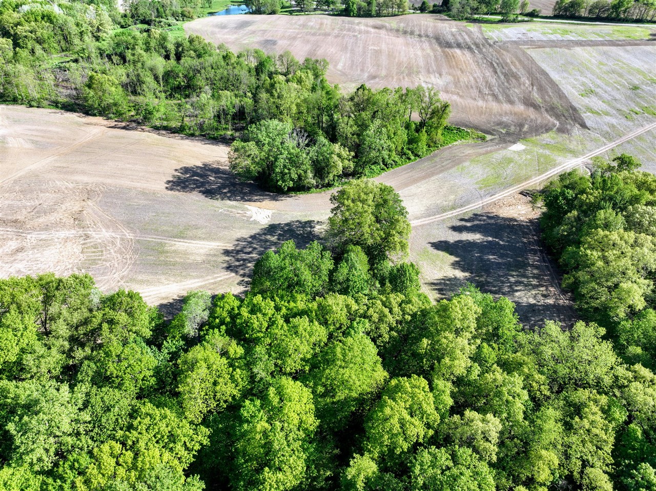 Onsted Highway Property Photo 49