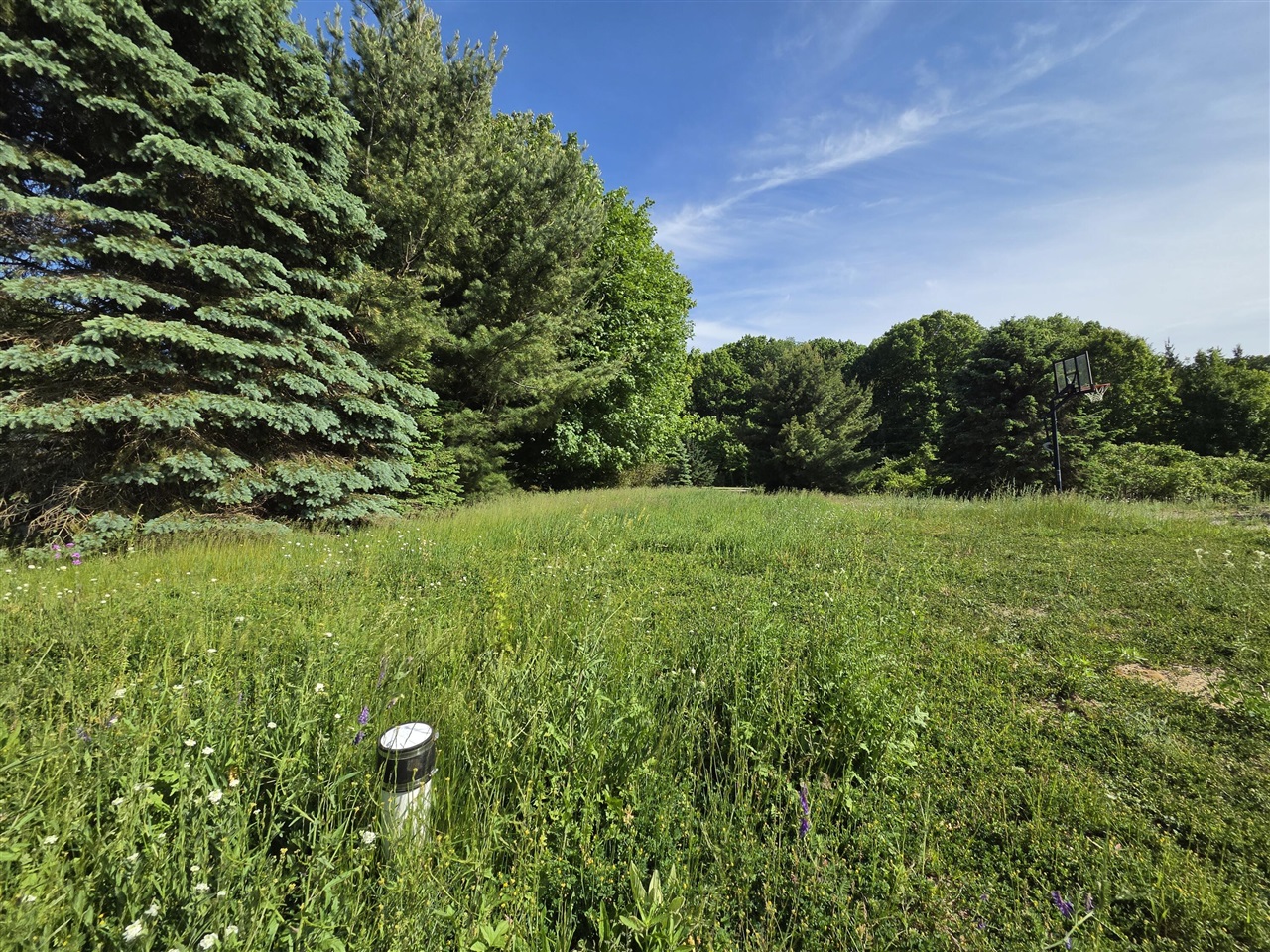 6829 Dale Court Property Photo 2
