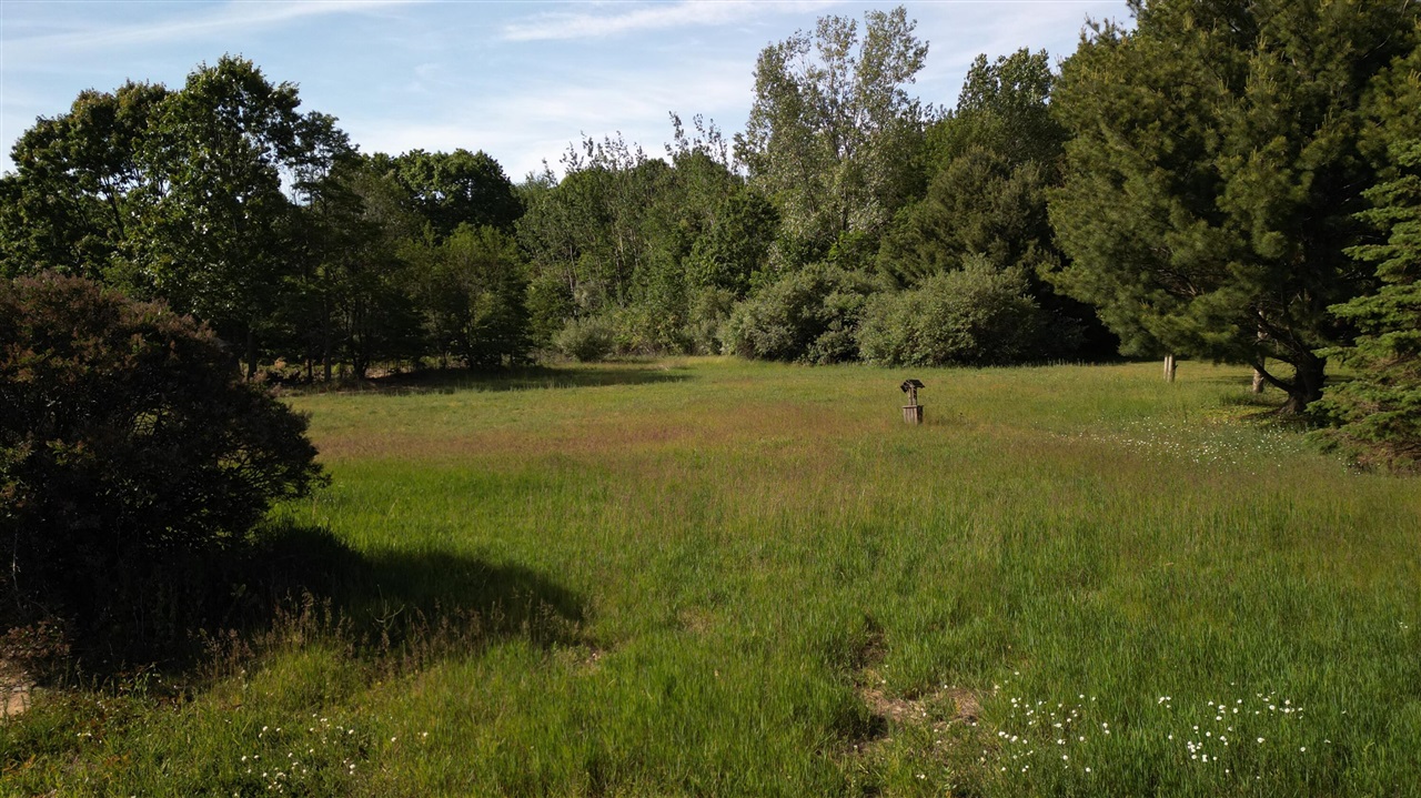 6829 Dale Court Property Photo 15