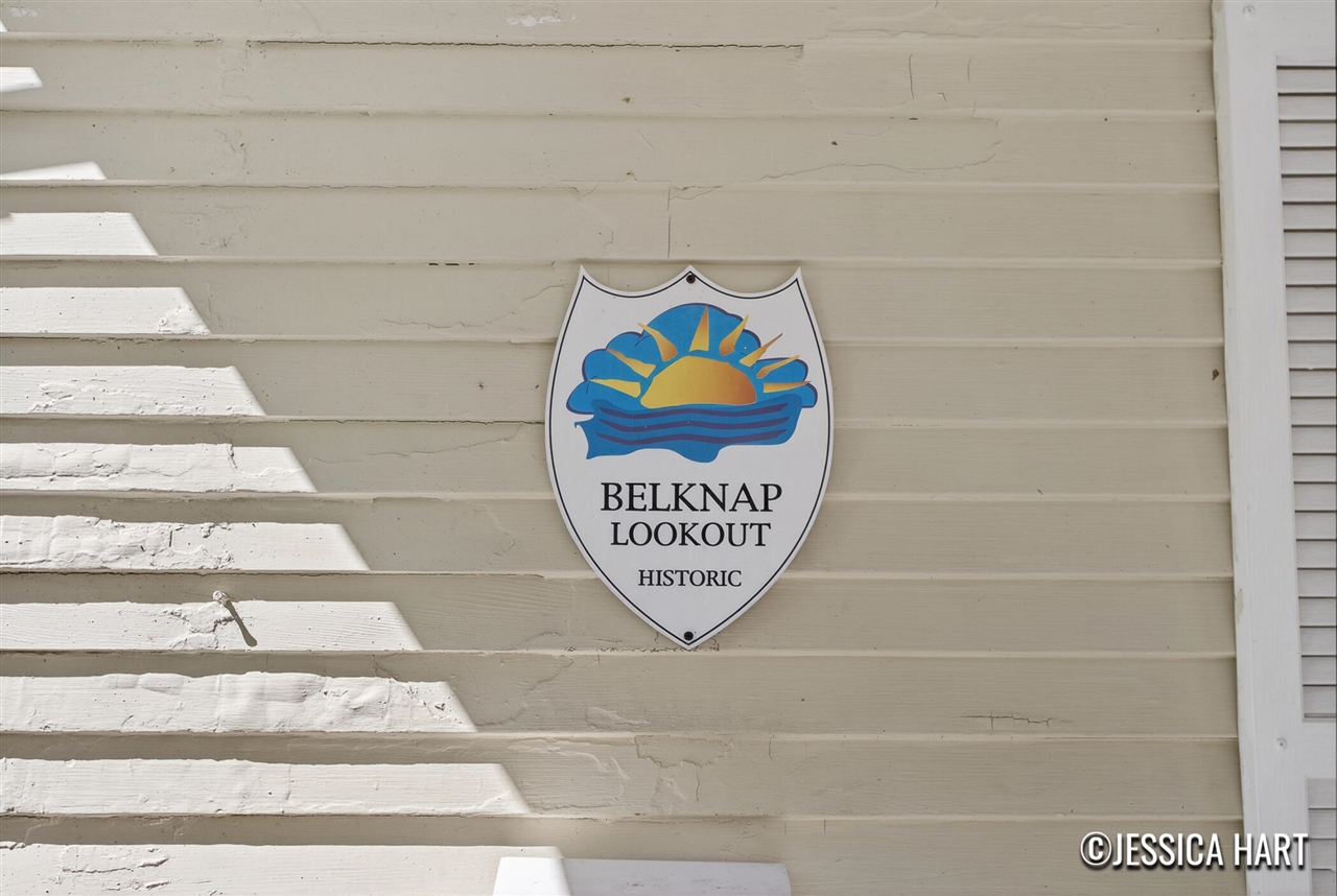 211 Trowbridge Street Property Photo 23