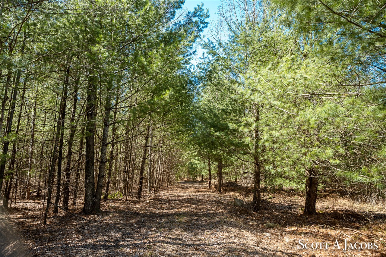 1125 Chaput Drive Property Photo 8