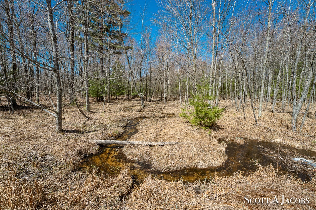 1125 Chaput Drive Property Photo 10